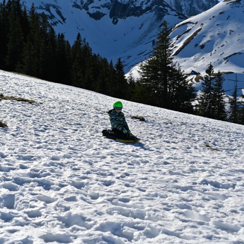<img alt="" src="/images/c/2/5/6/1/c25617ce65f375a43326e96b3cb1b9d6377055ad-schneetag2024-21-von-43.jpg?alt" />