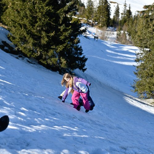 <img alt="" src="/images/c/a/5/7/6/ca57691be38eaeb36bd69af08a0e955e63abddf7-schneetag2024-31-von-43.jpg?alt" />